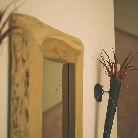 Villa-senta-apartment-4